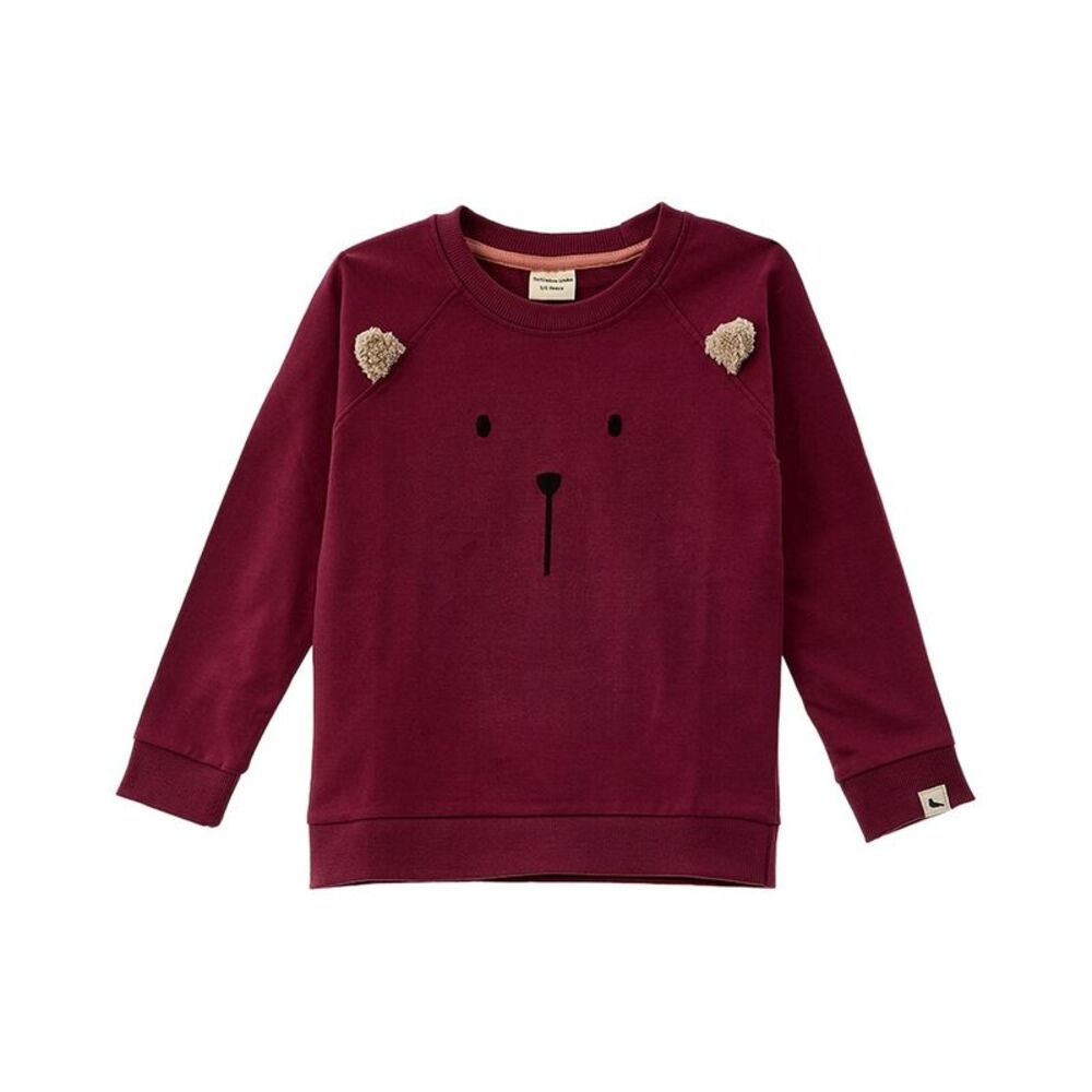 Turtledove London Boys  3D Character Sweatshirt, Red